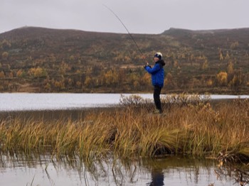  Budalsvatnet er fult av fisk.  